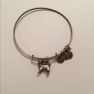 Alex and Ani Cat Bracelet